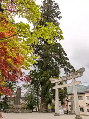 飛驒一宮水無神社(岐阜県)