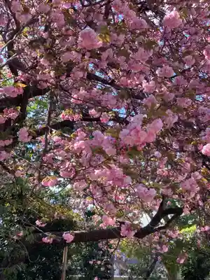 東陽寺(千葉県)