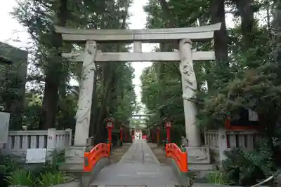 馬橋稲荷神社の鳥居