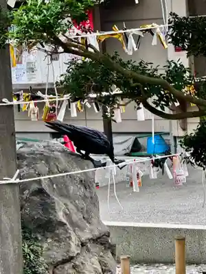 愛宕神社(宮城県)
