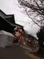 賀羅加波神社の自然