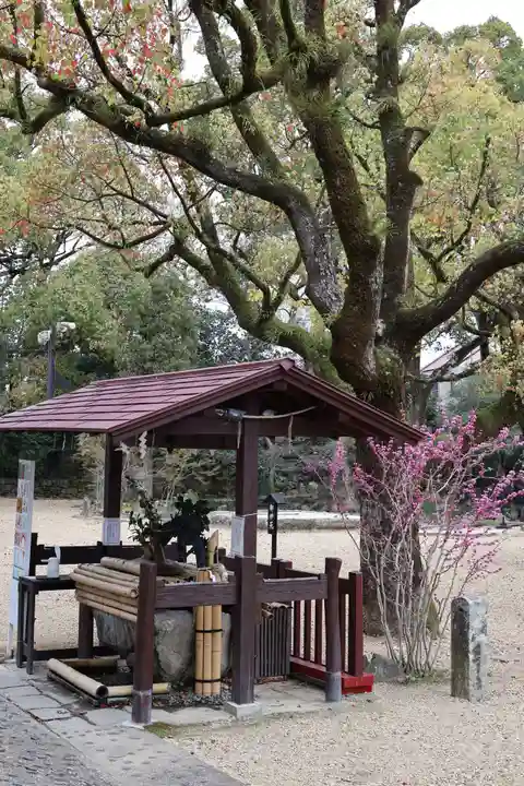 諫早神社(九州総守護 四面宮)(長崎県)