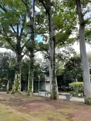 安養院(東京都)