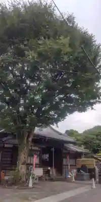 魚籃寺(東京都)