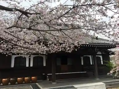 泥牛庵の本殿・本堂