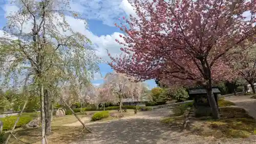 圓光寺(京都府)