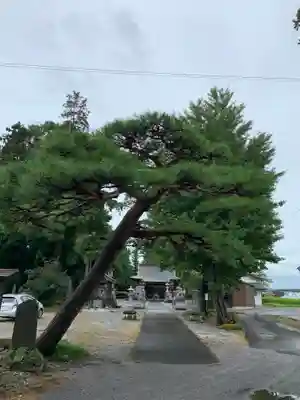近津神社のその他建物