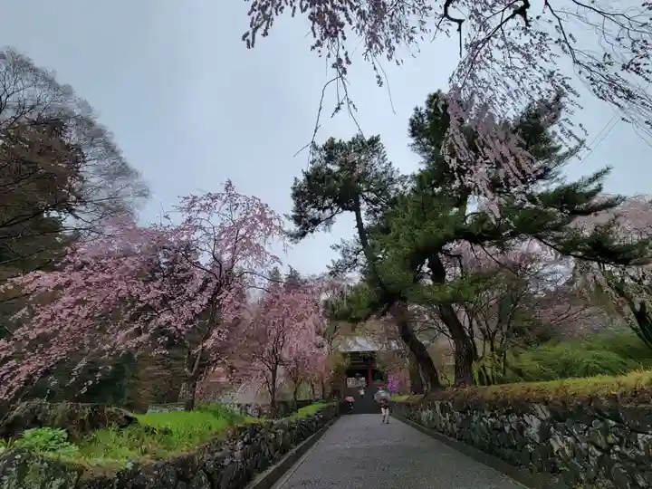妙義神社(群馬県)