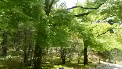 仁和寺(京都府)