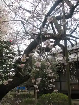 宝戒寺(神奈川県)