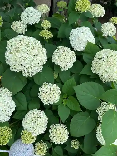 能護寺(埼玉県)