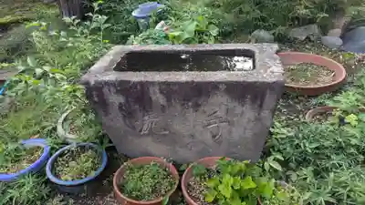 丸山寺の手水舎
