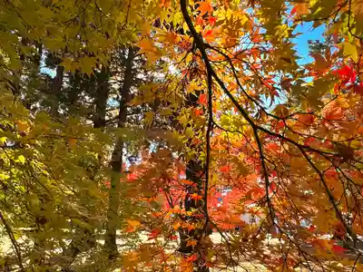 眞田神社(長野県)