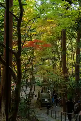 大矢田神社(岐阜県)