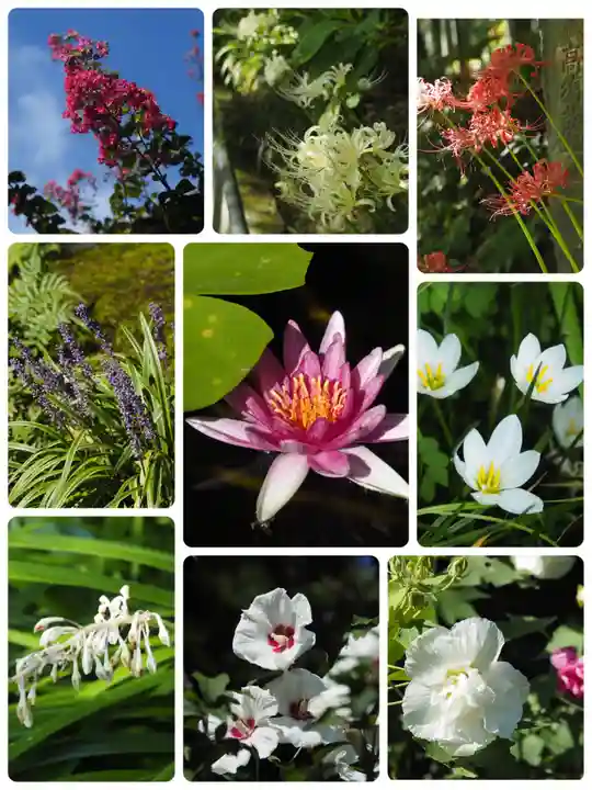 長谷寺(神奈川県)