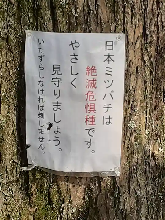 鎌庭香取神社(茨城県)