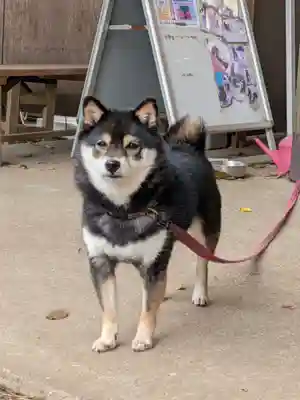 上目黒氷川神社(東京都)
