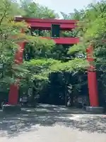 冠稲荷神社の鳥居