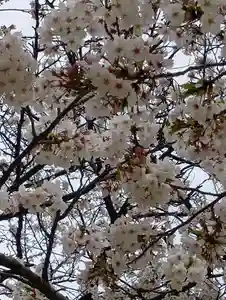 刺田比古神社(和歌山県)(2026年04月05日(日) 06時39分19秒投稿)
