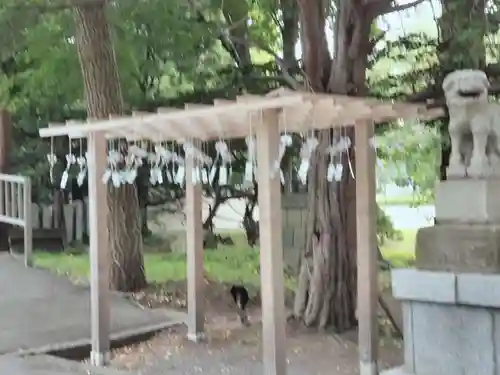 亀田八幡宮(北海道)