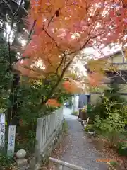 藤白神社の周辺