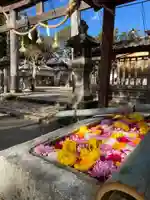 柏原八幡宮の手水舎