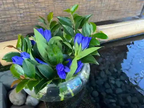 上尾御嶽神社の手水舎