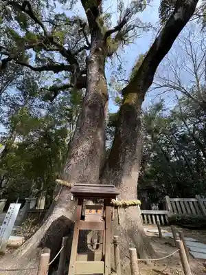 伊弉諾神宮(兵庫県)