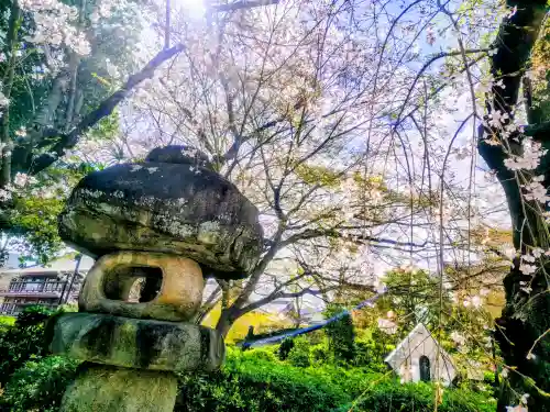 増上寺の{uncategorized: "未分類", other: "その他", undefined: "問題あり", building: "その他建物", grave: "お墓", sacred_gate: "鳥居", guardian: "狛犬", statue: "像", buddha: "仏像", history: "歴史", nature: "自然", garden: "庭園", animal: "動物", pagoda: "塔", temizu: "手水舎", mountain_gate: "山門・神門", sanctuary: "本殿・本堂", subordinate: "末社・摂社", art: "芸術", scenery: "景色", jizo: "地蔵", ema: "絵馬", goshuin: "御朱印", omikuji: "おみくじ", items: "授与品その他", amulet: "お守り", goshuincho: "御朱印帳", eats: "食事", festival: "お祭り", votive_dance: "神楽", shichigosan: "七五三参", wedding: "結婚式", experience: "体験その他", initially: "初詣", around: "周辺", anti_infection: "感染症対策"}