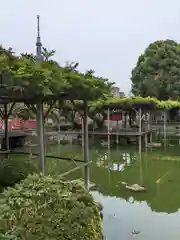 亀戸天神社(東京都)