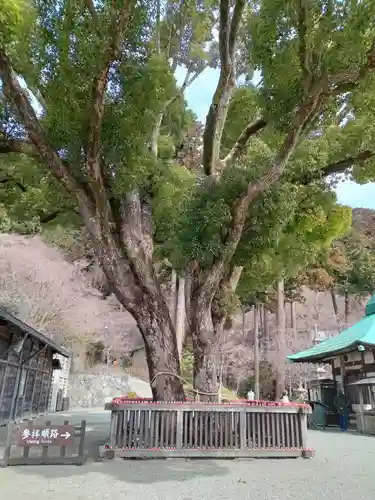 勝尾寺(大阪府)