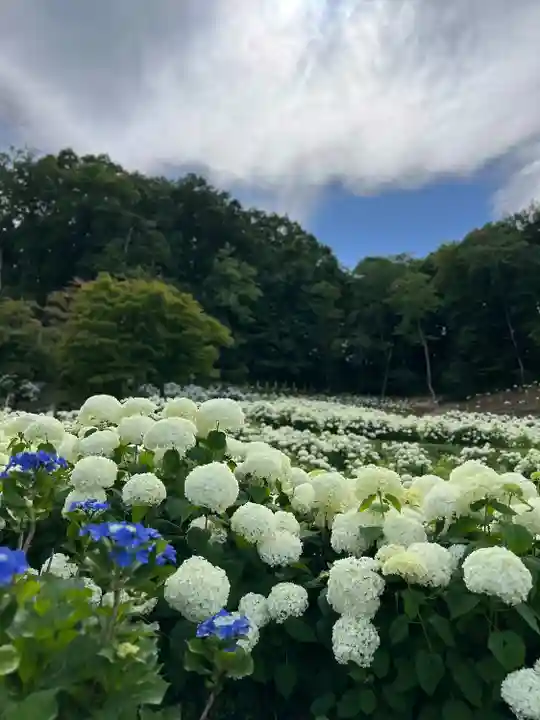陽林寺(福島県)