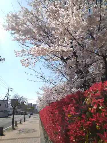 天御柱神社の周辺