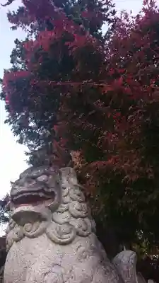 下野國一社八幡宮の狛犬