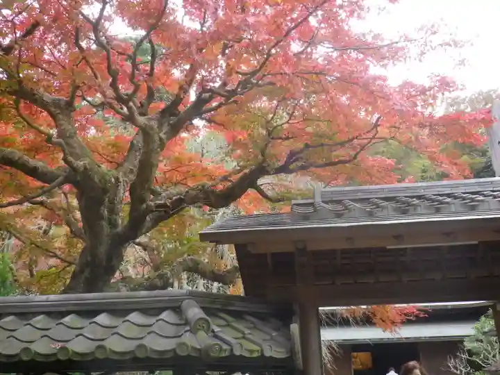 東慶寺の自然