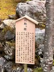 今熊野観音寺(京都府)