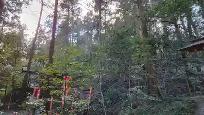 宝登山神社(埼玉県)