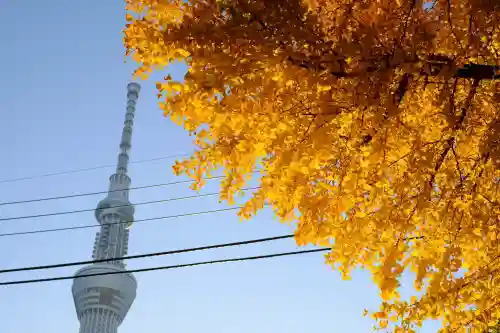 飛木稲荷神社(東京都)