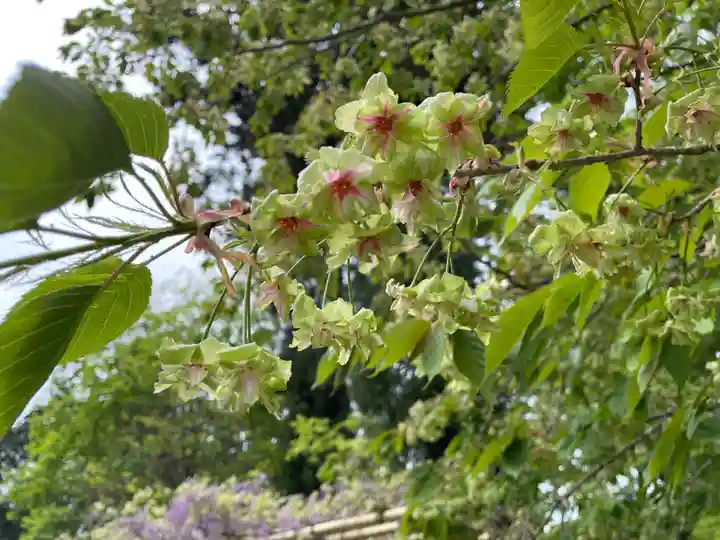 歌泉堂(春日大社神苑萬葉植物園内鎮座)(奈良県)