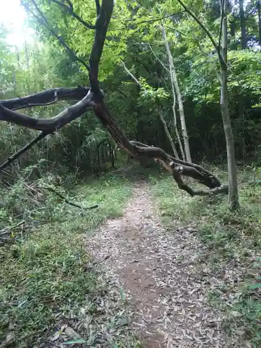 賀茂別雷神社(栃木県)