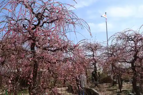 防府天満宮(山口県)