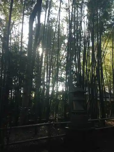 喜多見氷川神社の自然