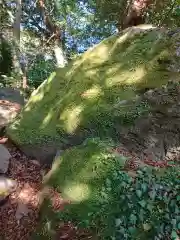 阿波々神社の自然