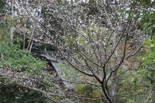 開成山大神宮の自然