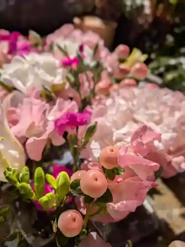 本郷氷川神社(東京都)
