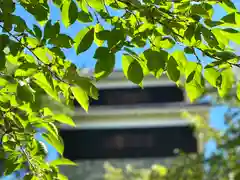 眞田神社(長野県)