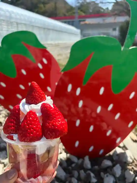 葛城神社の{uncategorized: "未分類", other: "その他", undefined: "問題あり", building: "その他建物", grave: "お墓", sacred_gate: "鳥居", guardian: "狛犬", statue: "像", buddha: "仏像", history: "歴史", nature: "自然", garden: "庭園", animal: "動物", pagoda: "塔", temizu: "手水舎", mountain_gate: "山門・神門", sanctuary: "本殿・本堂", subordinate: "末社・摂社", art: "芸術", scenery: "景色", jizo: "地蔵", ema: "絵馬", goshuin: "御朱印", omikuji: "おみくじ", items: "授与品その他", amulet: "お守り", goshuincho: "御朱印帳", eats: "食事", festival: "お祭り", votive_dance: "神楽", shichigosan: "七五三参", wedding: "結婚式", experience: "体験その他", initially: "初詣", around: "周辺", anti_infection: "感染症対策"}