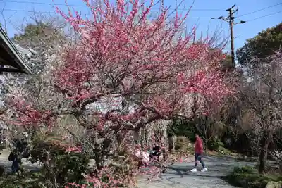 真福寺(奈良県)