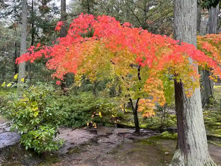 唐招提寺(奈良県)