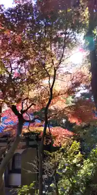 長谷寺(神奈川県)